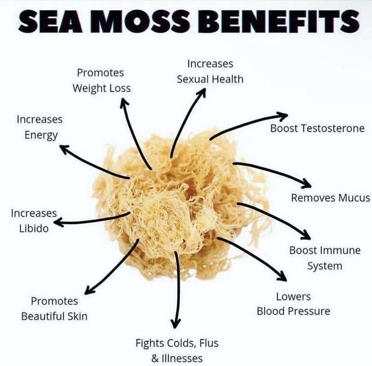 sea moss